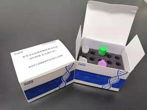 華大基因研發(fā)3小時快速新冠病毒檢測試劑盒，宣布技術(shù)轉(zhuǎn)讓推動全球抗疫