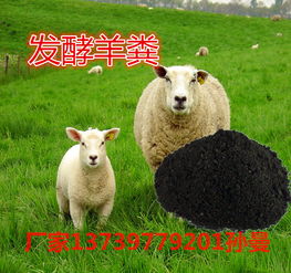 選擇河北旺潤農業科技，共創羊糞有機肥綠色財富新篇章